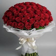 Букет 101 Красная роза Блэк Мэджик в Дубовке