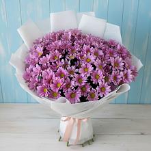 Букет цветов из:  Хризантемы в Дубовке