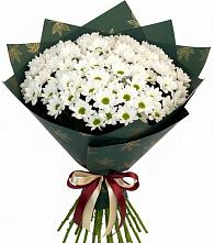 Букет цветов из:  Хризантемы в Дубовке