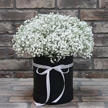 Цветочная композиция из Гипсофила в шляпной коробке #REPLACE_PRED# Дубовке