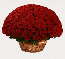 Премиум букет из: Розы в Дубовке